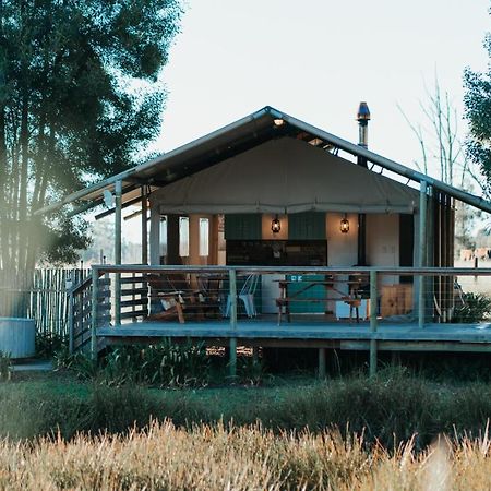Africamps At Oakhurst Wildernis Exterior foto